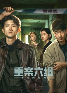 重案六组：消失的警号海报