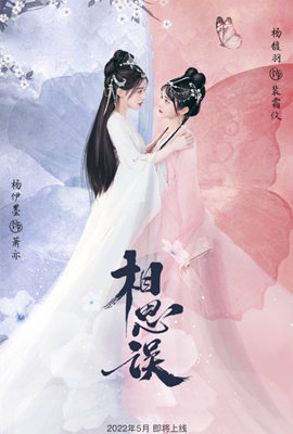 相思误海报